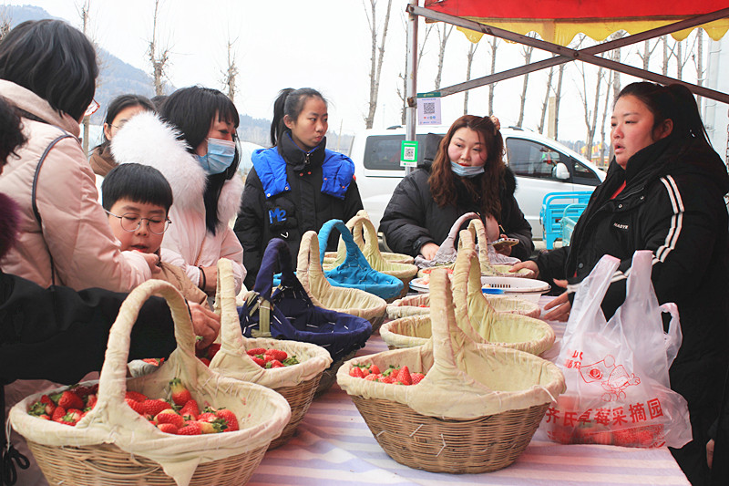 ��ݮ�h��c�´� | ���f�(zh��n)��ɽ�ڲ�ݮ��ժ��Ȥ���������w�e����ζ